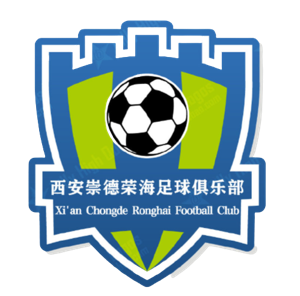 山西崇德荣海logo