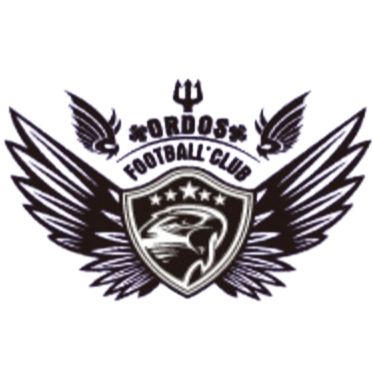 鄂尔多斯市东胜区曼森logo