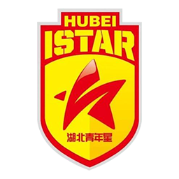 湖北青年星logo